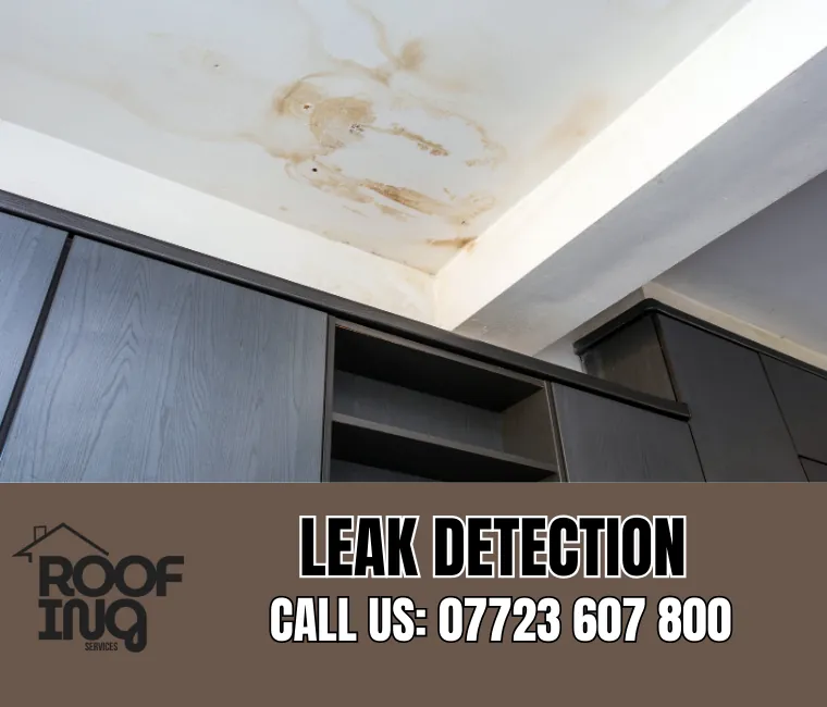 Roof Leak Detection in Okehampton