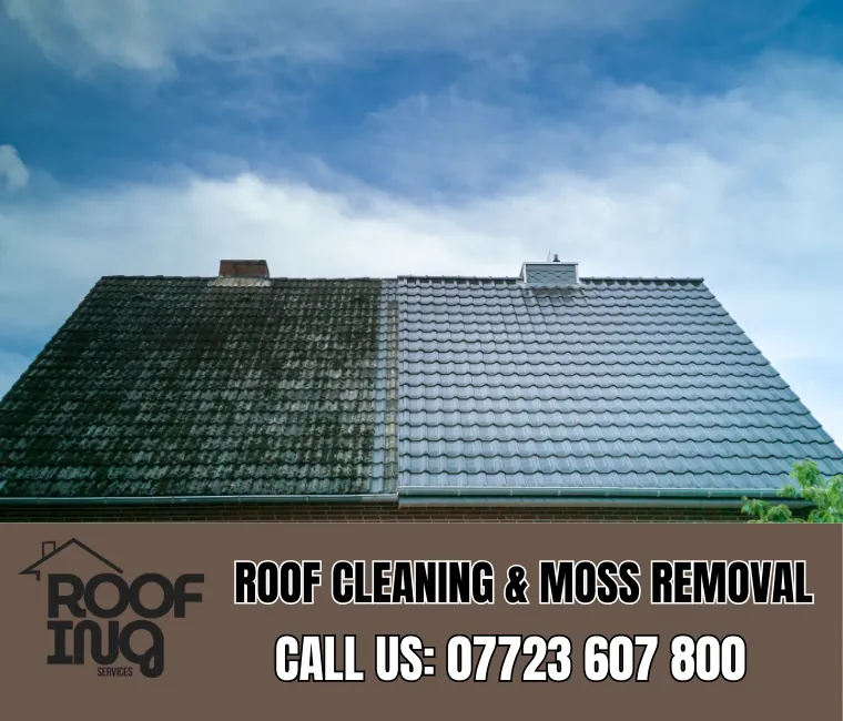 Roof cleaning and moss removal in Okehampton